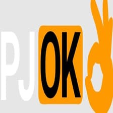 Profile picture for pjok88 net