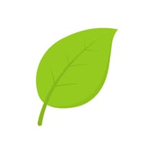 Profile picture for Green skills