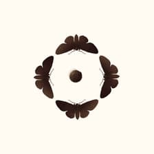 Profile picture for Heirloom Wellness