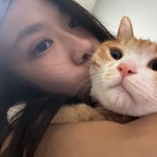 Profile picture for Yiying