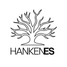 Profile picture for HankenES