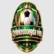 Profile picture for tylekeobongda vin