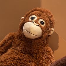 Profile picture for Not ZhiWei
