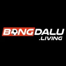 Profile picture for BONGDA LU