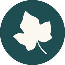 Profile picture for IvyPoint AI