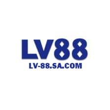 Profile picture for LV88