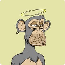 Profile picture for JZ