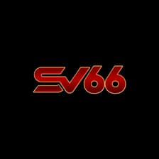 Profile picture for SV66 com mx