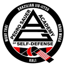 Profile picture for PedroSauer Academy