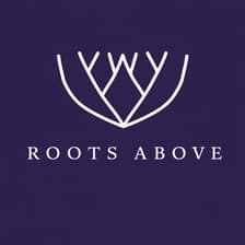 Profile picture for Roots Above