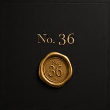 Profile picture for No 36