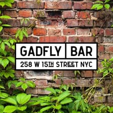 Profile picture for Gadfly Bar