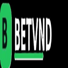 Profile picture for betvnd86 com