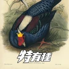 Profile picture for 藍腹鷴特有種
