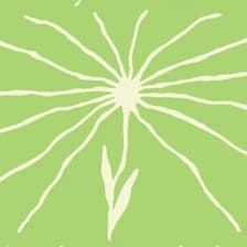 Profile picture for Circling The Drain Press