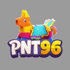 Profile picture for PNT96