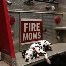 Profile picture for Fire Moms