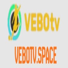 Profile picture for vebotv space