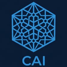 Profile picture for CAI Global