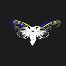 Profile picture for Daniel Kang