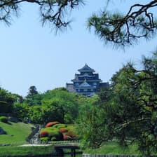 Profile picture for 岡山未来を創るたまりば