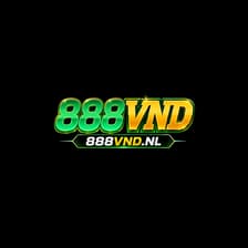 Profile picture for 888vn dnl