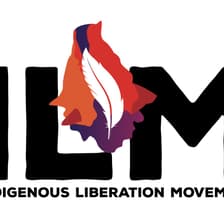 Profile picture for Indigenous Liberation Movement (ILM) Volunteers
