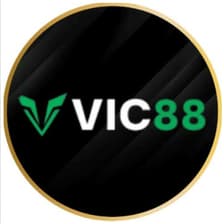 Profile picture for vic88 codes