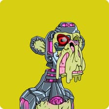 Profile picture for Javier R