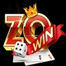 Profile picture for Zowin