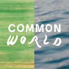 Profile picture for Common World