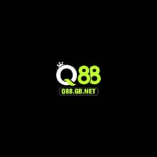 Profile picture for Q88