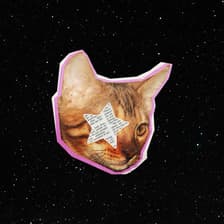 Profile picture for Late Night Creative Sessions For Stray Cats