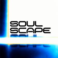 Profile picture for Soulscape