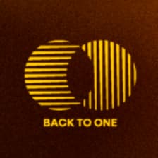 Profile picture for Back to One Festival