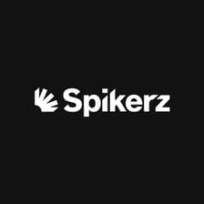 Profile picture for Spikerz Security