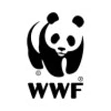 Profile picture for WWF Deutschland