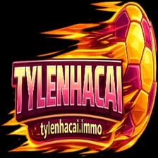 Profile picture for tylenhacai school