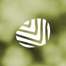 Profile picture for Loka Yoga & Cafe
