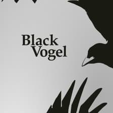 Profile picture for BlackVogel