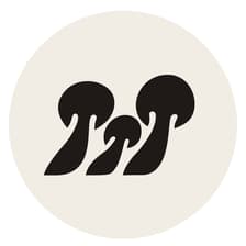 Profile picture for Fungiii Community