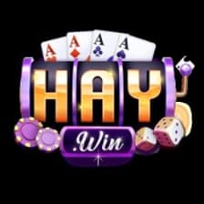 Profile picture for HAYWIN