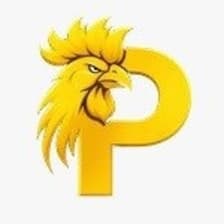 Profile picture for Paito SDY Lotto