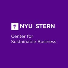 Profile picture for NYU Stern Center for Sustainable Business