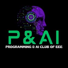 Profile picture for Programming and AI Club EEE