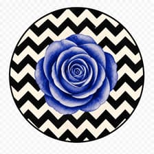 Profile picture for Rosa Blava