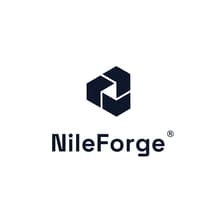 Profile picture for NileForge - AI Connect