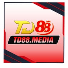 Profile picture for td88media