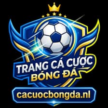 Profile picture for cacuoc bongda