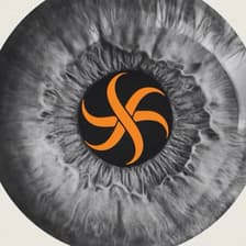 Profile picture for Synchronicity Social Strategies
